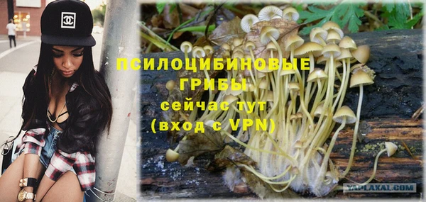 сатива Краснотурьинск