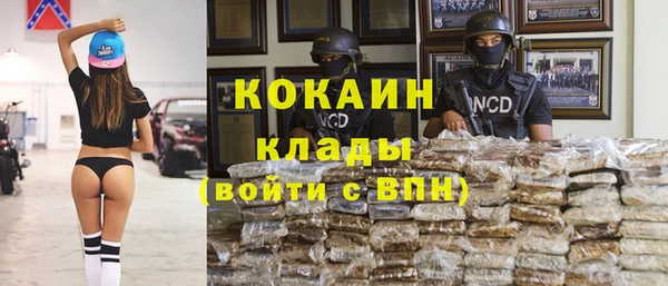 сатива Краснотурьинск