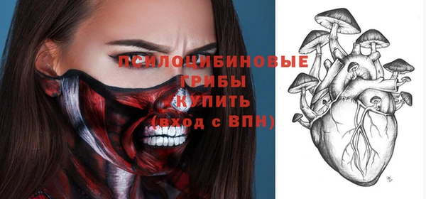 сатива Краснотурьинск