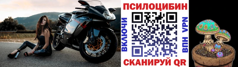 Псилоцибиновые грибы Psilocybine cubensis  площадка состав  Пыть-Ях  где купить  